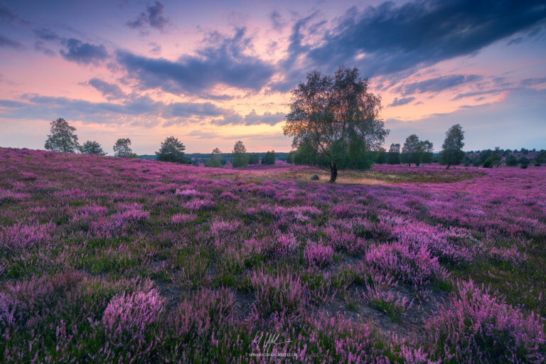 Landschaftsbilder Deutschland - Landschaftsfotografie