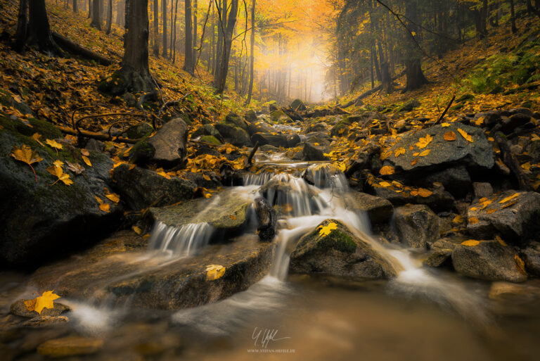 Carpathian Mountains