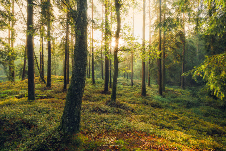 Landschaftsbilder Schweden - Landschaftsfotografie