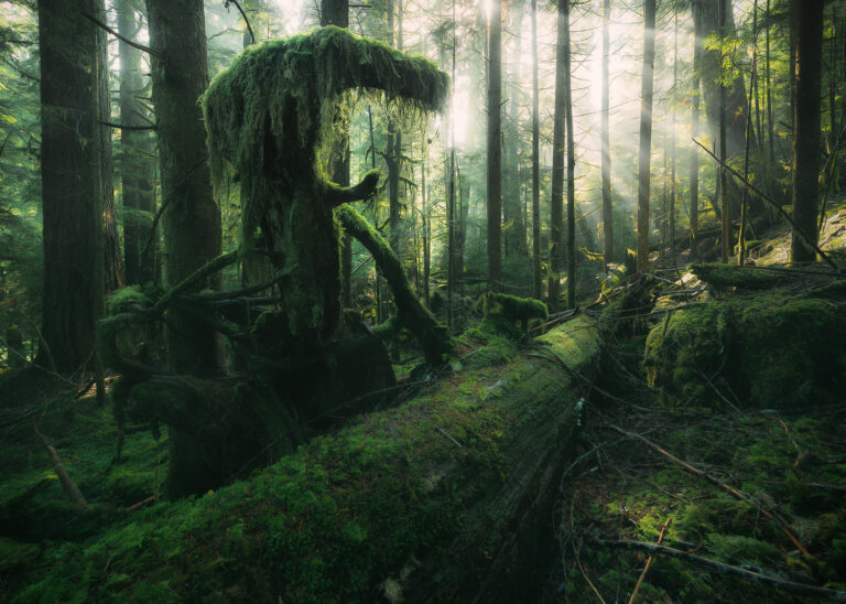 Lieblingsbilder Stefan Hefele - Landschaftsfotografie