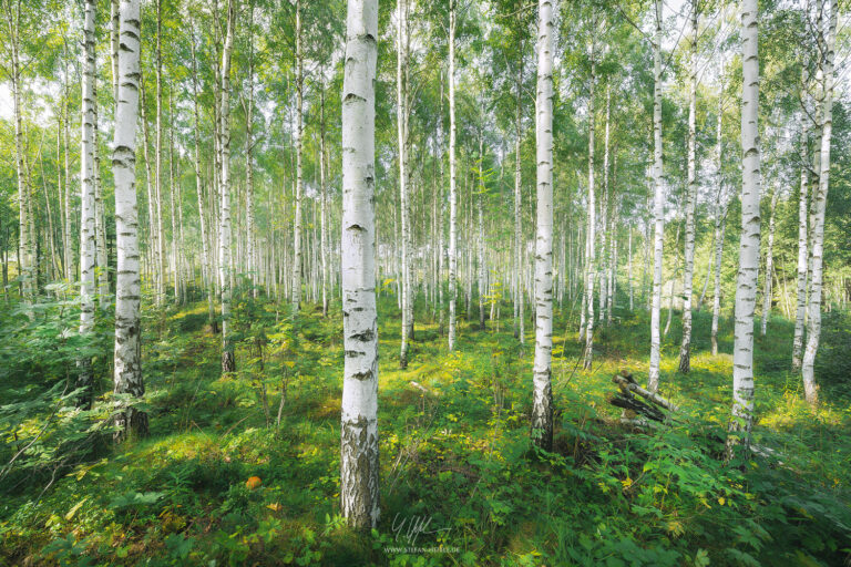 Landschaftsbilder Schweden - Landschaftsfotografie