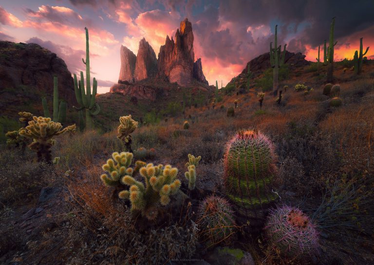 Markanter Berg in den Superstition Mountains in Arizona, USA im heißen, farbenfrohen Sonnenuntergang. Zahlreiche Kakteen in der ariden Landschaft