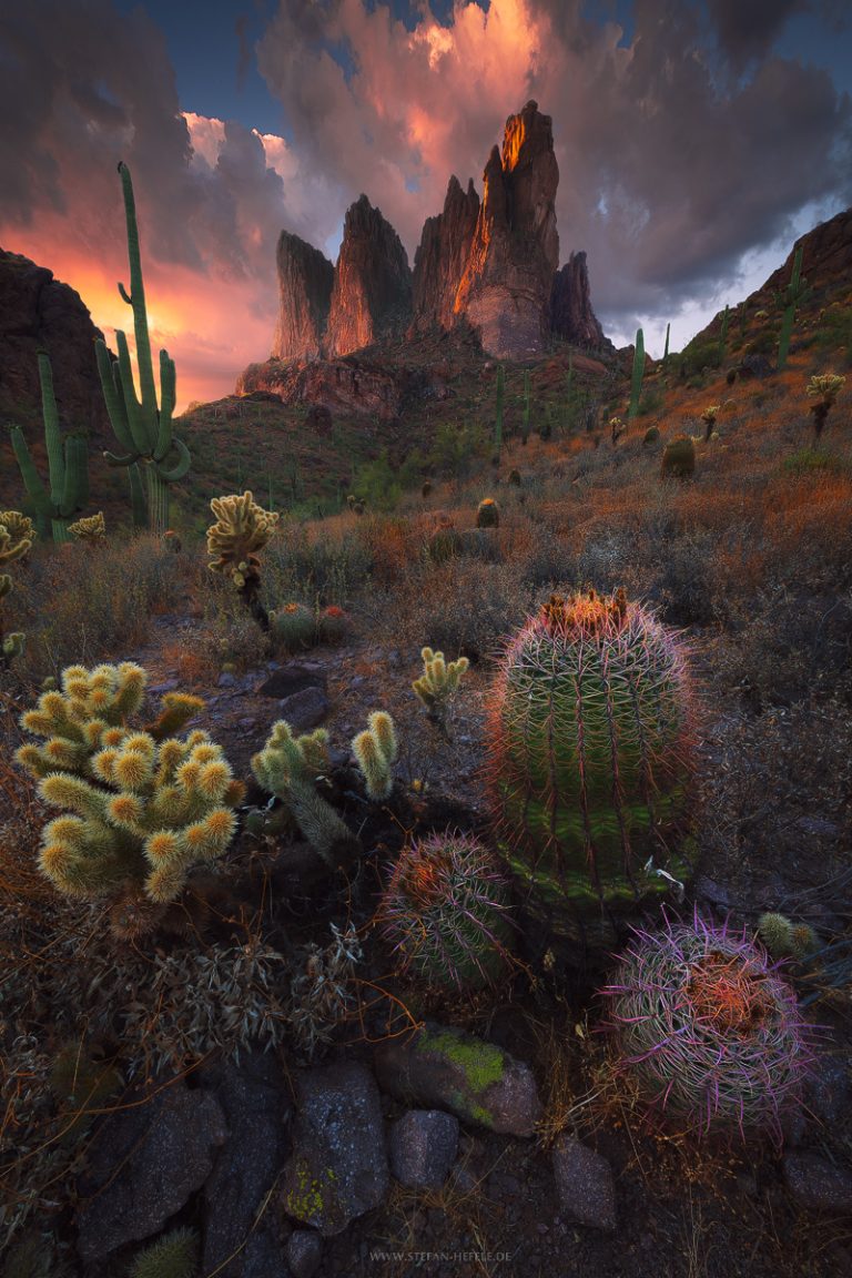 Markanter Berg in den Superstition Mountains in Arizona, USA im heißen, farbenfrohen Sonnenuntergang. Zahlreiche Kakteen in der ariden Landschaft