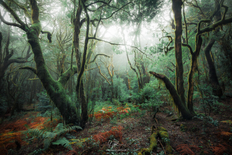 Landschaftsbilder La Gomera - Landschaftsfotografie