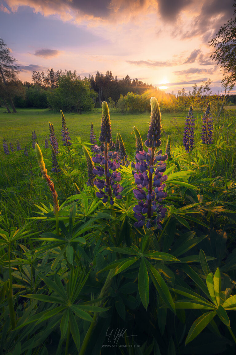 Landscapes Germany - Landscape Photography