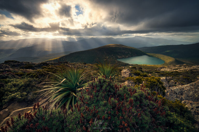 View from Hartz Mountain in the south of Tasmania into the wilderness in the west of Tasmania with majestic light