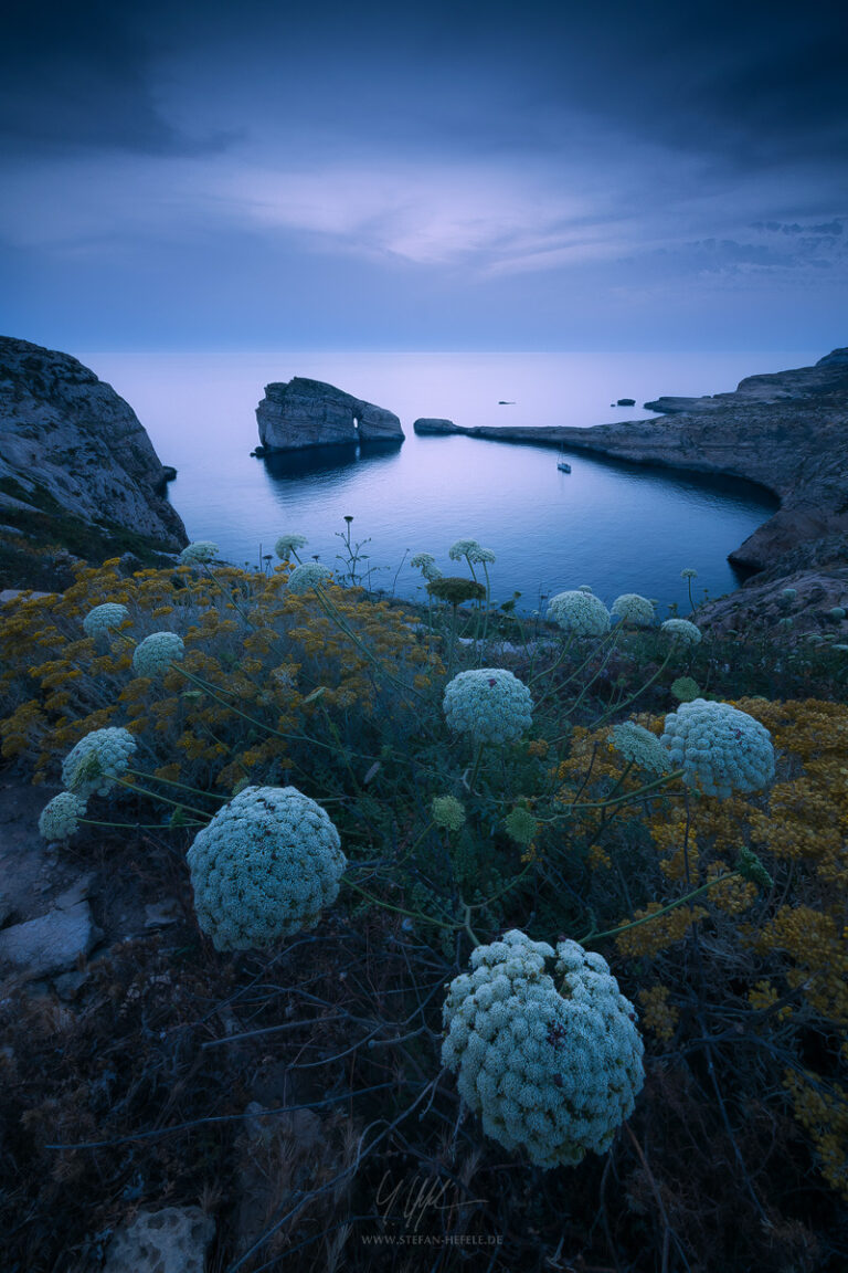 Dwejra Bay on Gozo in the Mediterranean Sea in the magic of the blue hour with Mediterranean vegetation in the foreground