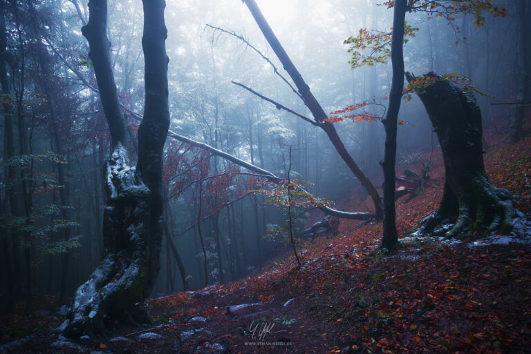 Carpathian Mountains