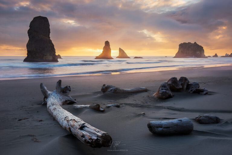 USA, United, States, America, Boardman, China, beach, driftwood, logs, rocks, light, sunset, sea, beach, sand, mood, structure, paradise, landscape, Stefan, Hefele, photography, Timeless