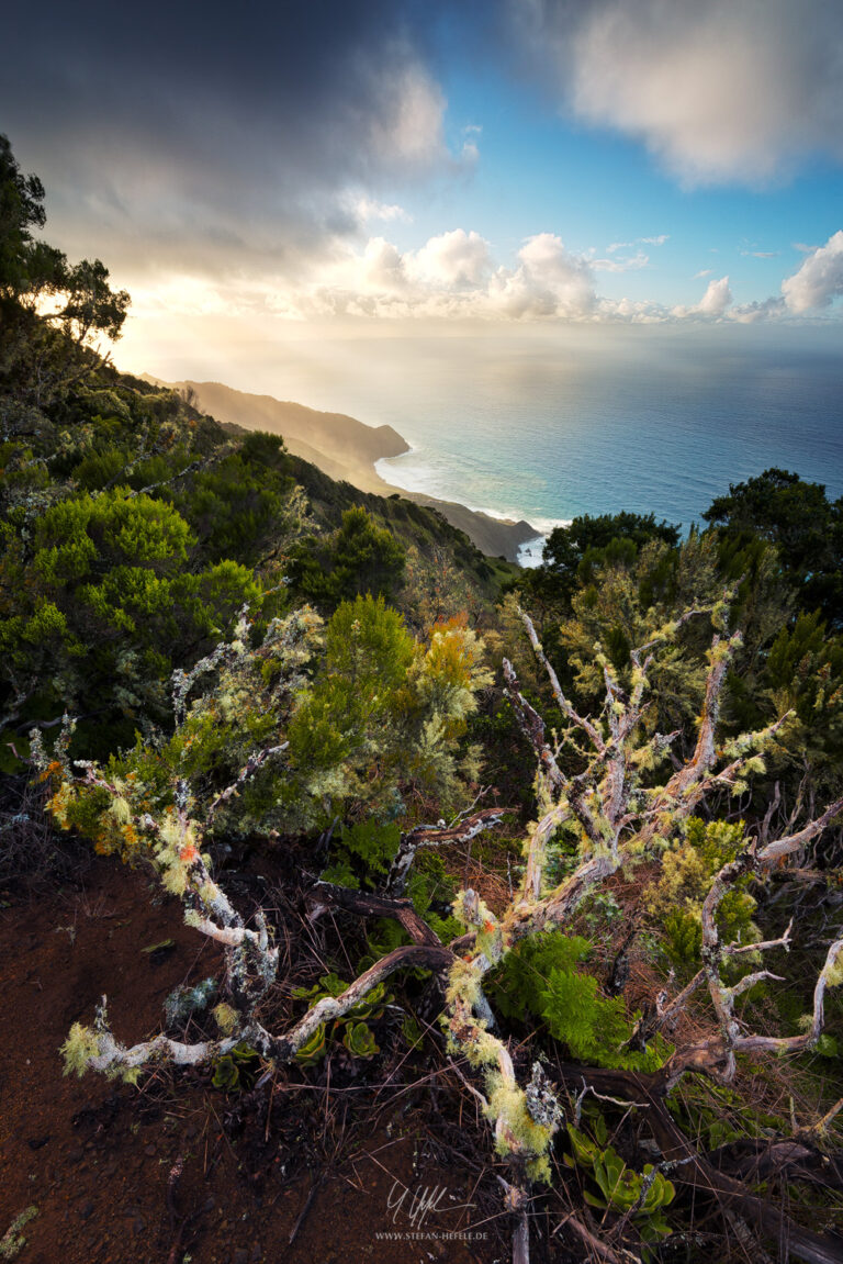 Landscapes La Gomera - Landscape Photography