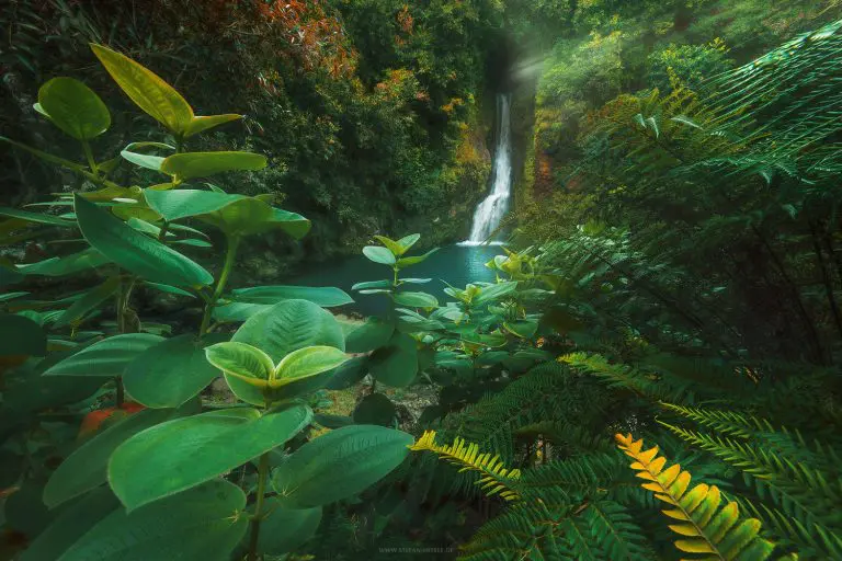 Tropischer Wasserfall auf der Insel Mauritius in üppige Botanik eingebettet