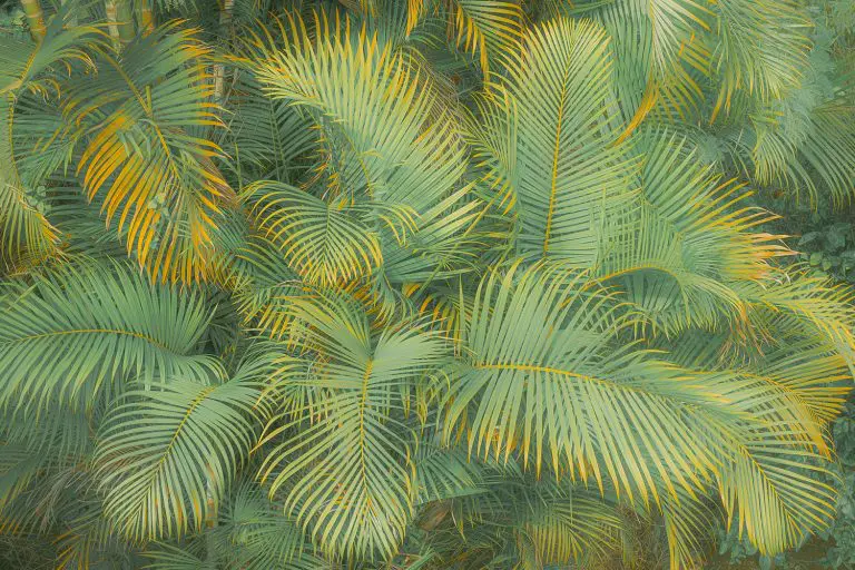 Tropical Foliage auf der Insel Reunion