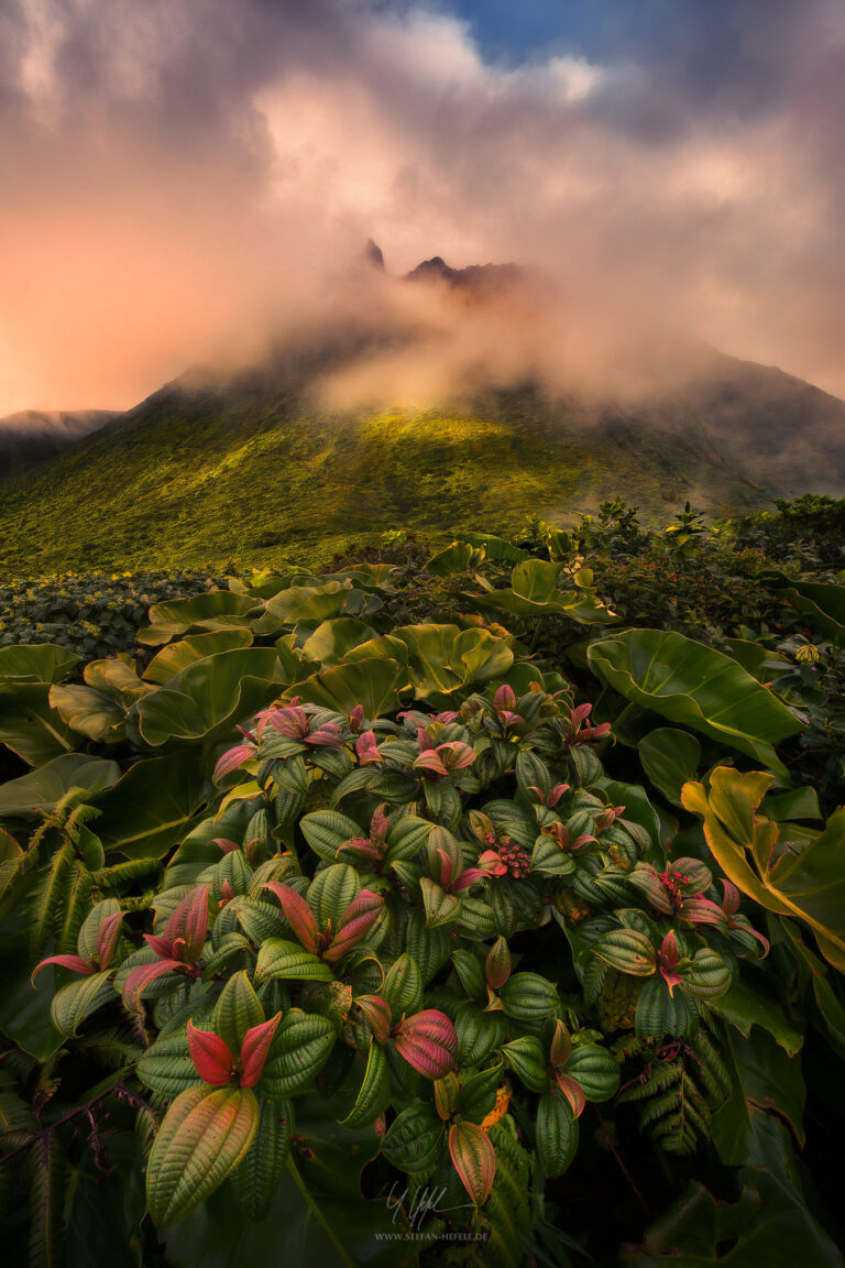 Landscapes Caribbean - Islands - Landscape Photography