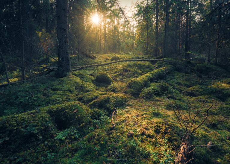 Landschaftsbilder Schweden - Landschaftsfotografie