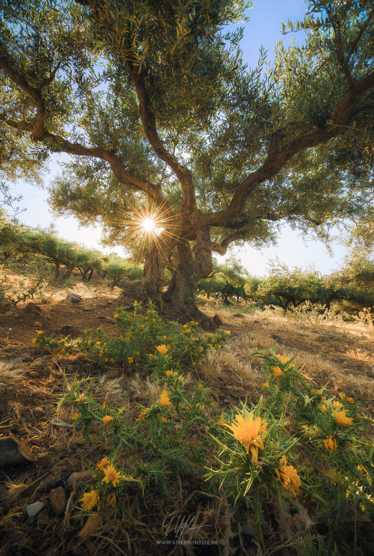 Landschaftsbilder Kreta in Griechenland - Landschaftsfotografie