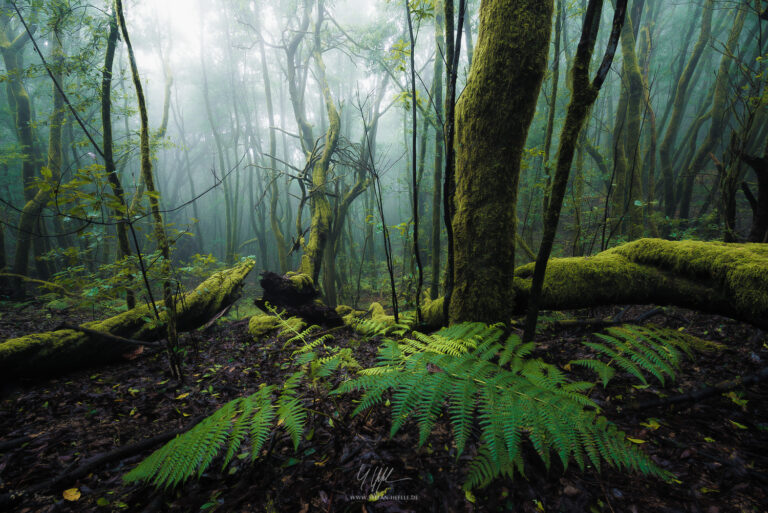 Landschaftsbilder La Gomera - Landschaftsfotografie