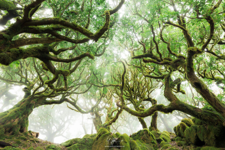 Landschaftsbilder Madeira - Portugal - Landschaftsfotografie