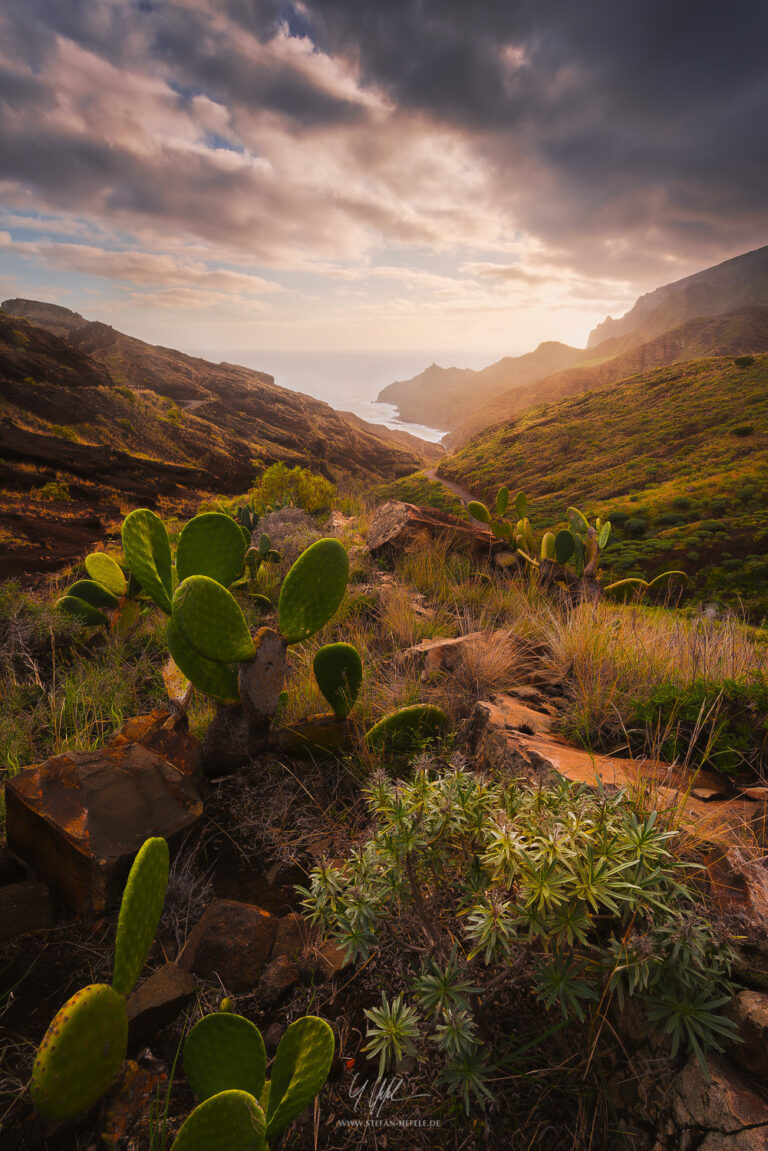 Spain, La Gomera, island, cacti, light, sun, mood, view, tabac, rocks, portrait, Nikon, clouds, evening, Stefan, Hefele, photography, landscape, nature, Canary Islands