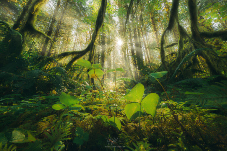 Lieblingsbilder Stefan Hefele - Landschaftsfotografie