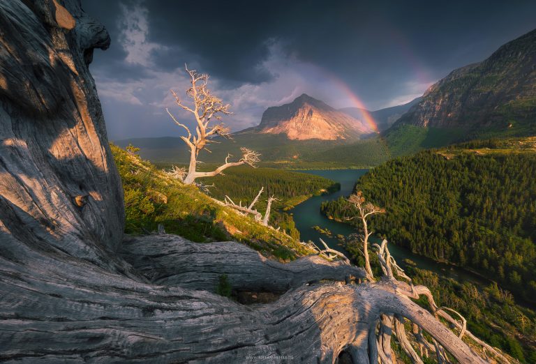 Epische Stimmung korz vor Hagelgewitter im Glacier Nationalpark mit dem Wynn Mountain im Hintergrund und dem Sherburne Lake. Knorrige, tote Bäume und ein Regenbogen runden die malerische Szene ab.