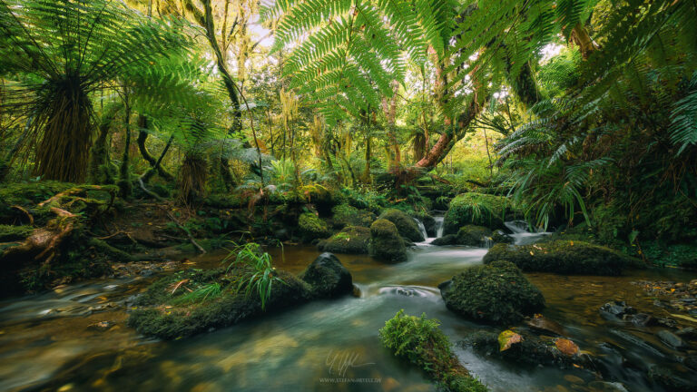 Landschaftsbilder Neuseeland - Landschaftsfotografie