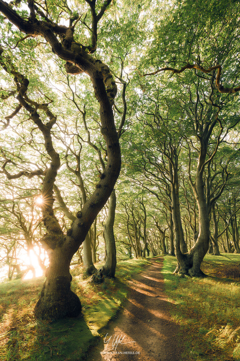 Landscapes Denmark - Landscape Photography