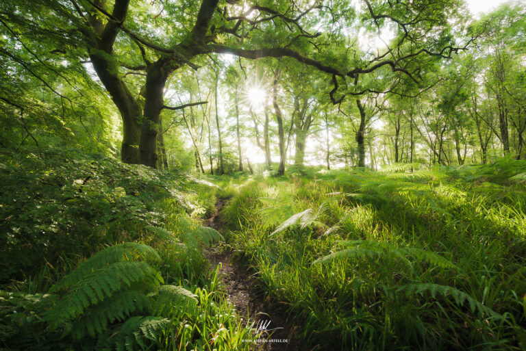 Landschaftsbilder Schottland - Europa - England - Landschaftsfotografie