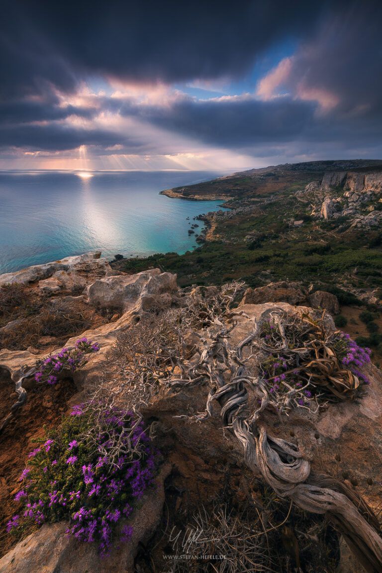 Landschaftsbilder Malta - Landschaftsfotografie