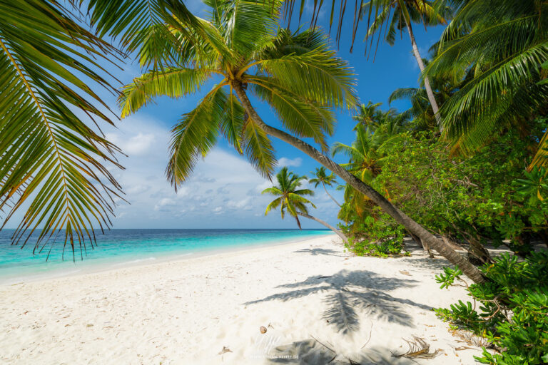 Dream beach on the Maldives island of Filitheyo with green palm trees and turquoise sea