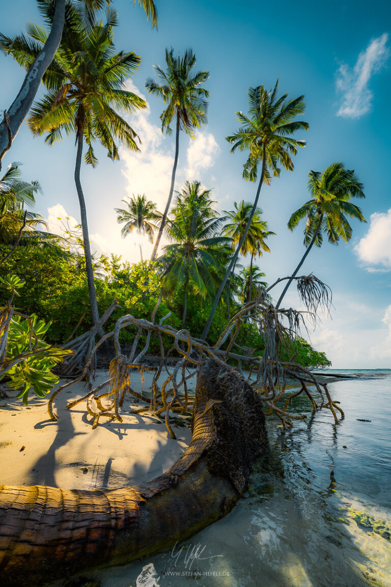 Maldives Landscapes - Landscape Photography