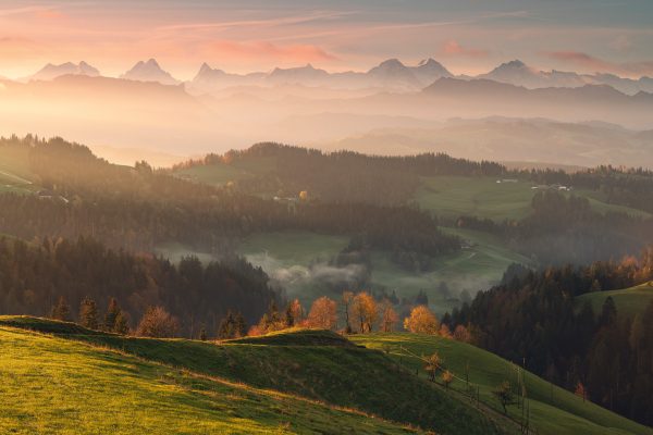 Wide view in the Swiss Emmental with a view of Alpine peaks in the early autumn morning light