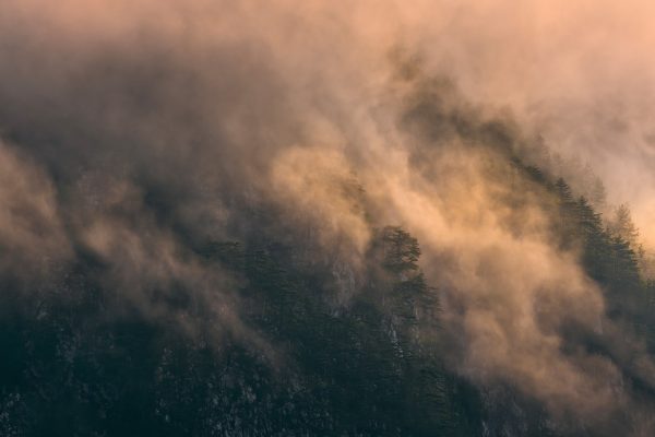 First sunlight hits damp forest in the Italian Alps, Gravon di Gleris