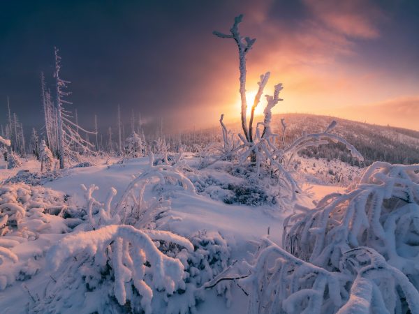 Icy winter atmosphere on the Dreisessel in the bavarian forest
