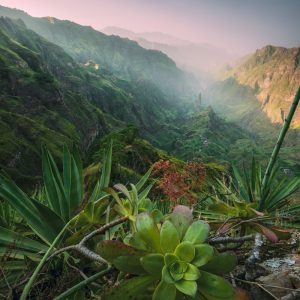 The picturesque green Xoxo Valley on Santo Antao - Cape Verde in the soft light with lush vegetation