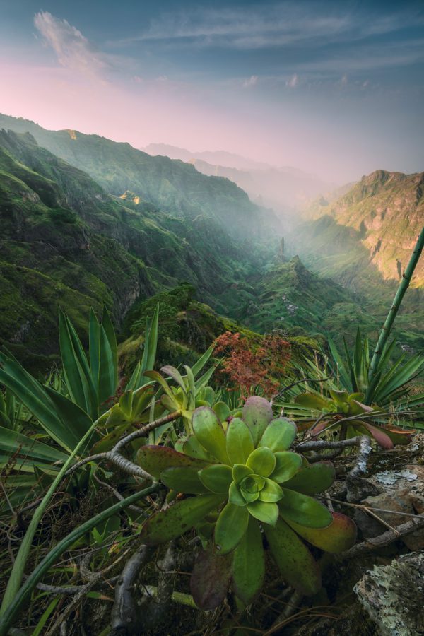 The picturesque green Xoxo Valley on Santo Antao - Cape Verde in the soft light with lush vegetation