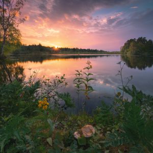 Romantic lake in southern Sweden for a dreamlike sunset