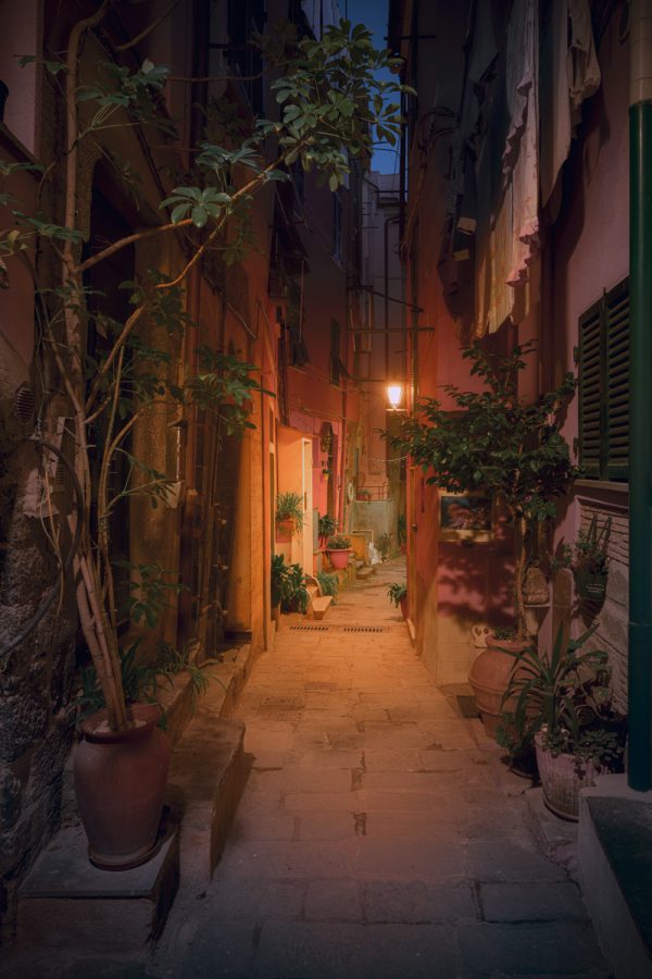 Picturesque alley in the atmospheric, dark light of the blue hour in Vernazza, Cinque Terre