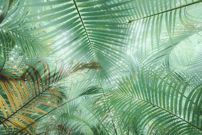 Tropical Foliage on Reunion Island
